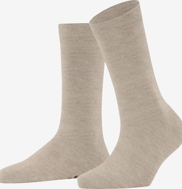 FALKE Socks 'Family' in Beige: front