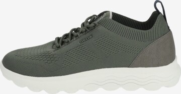 Sneaker bassa 'Spherica' di GEOX in verde