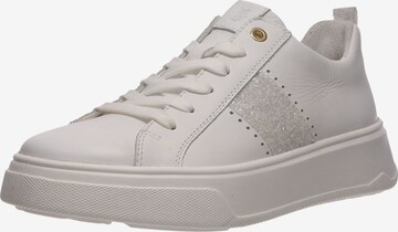 SALAMANDER Sneakers in White: front