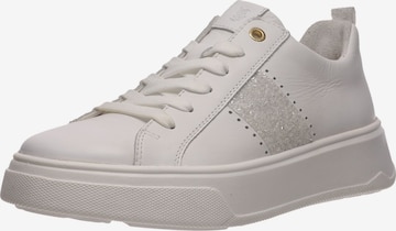 Baskets basses SALAMANDER en blanc : devant