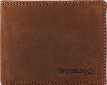 Greenland Nature Wallet in Brown: front