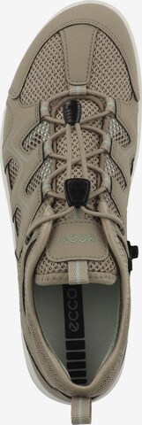 ECCO Sneakers 'Terracruise' in Green