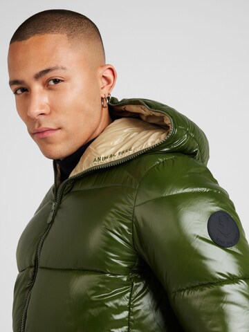 Veste d’hiver 'EDGARD' SAVE THE DUCK en vert