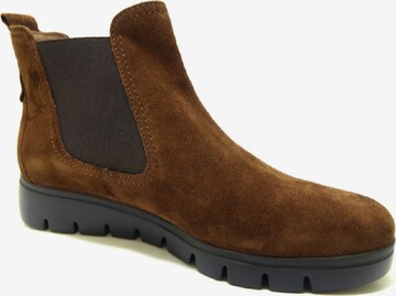 GABOR Chelsea Boots in Braun