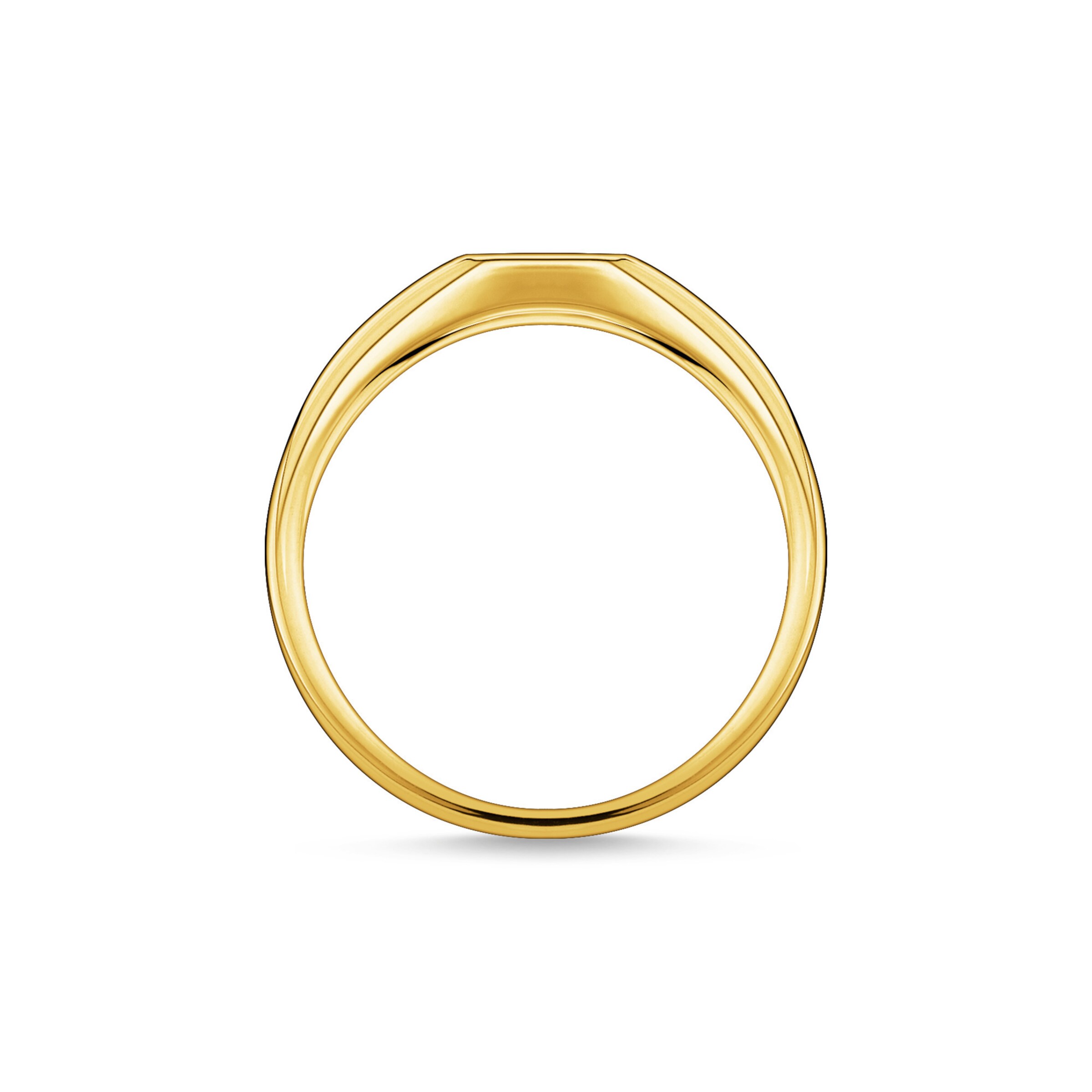 Thomas Sabo Ring in Gold