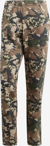 ADIDAS ORIGINALS Regular Pants 'Graphics Camo' in Green: front