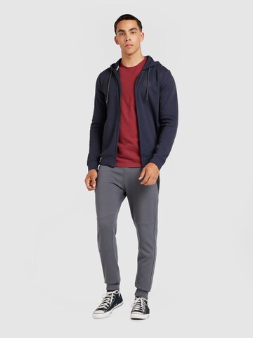 Cars Jeans Tapered Trousers 'LAX' in Grey