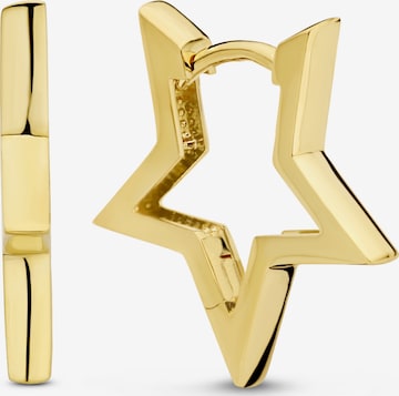 Boucles d'oreilles Isabel Bernard en or : devant