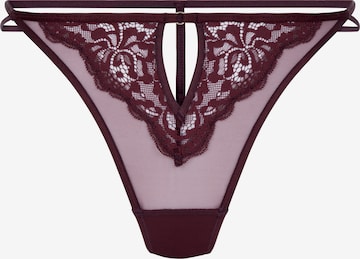 raudona Hunkemöller Siaurikės 'Cinnamon': priekis
