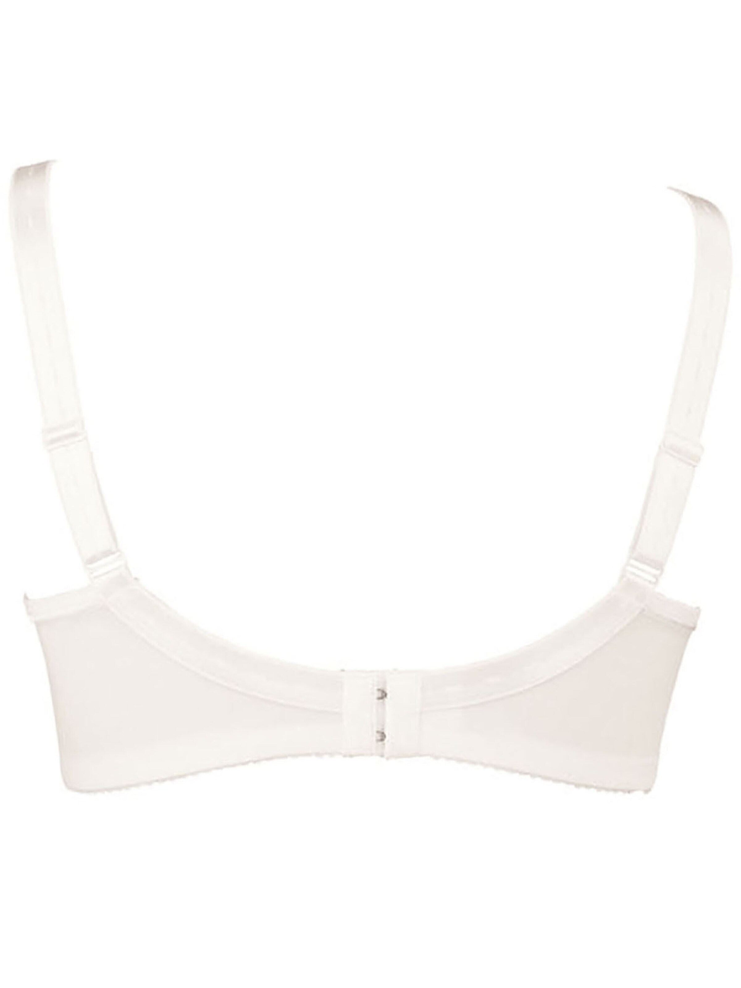 ANITA Minimiser Bra 'Safina' in Beige
