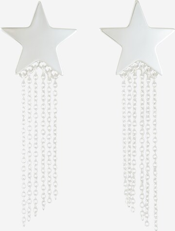 Monki Earrings in Silver: front