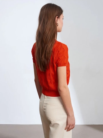 Dilvin Blouse 'Blusen' in Orange