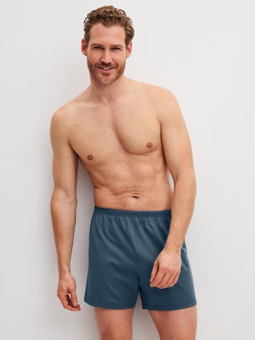 CALIDA Boxer shorts 'Cotton Special' in Grey
