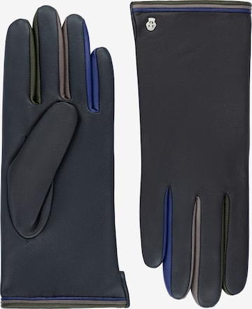 Roeckl Vingerhandschoenen 'BERLIN' in Blauw: voorkant