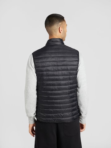 Gilet Champion Authentic Athletic Apparel en noir