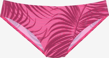 LASCANA ACTIVE Sportbikiniunderdel i rosa: framsida
