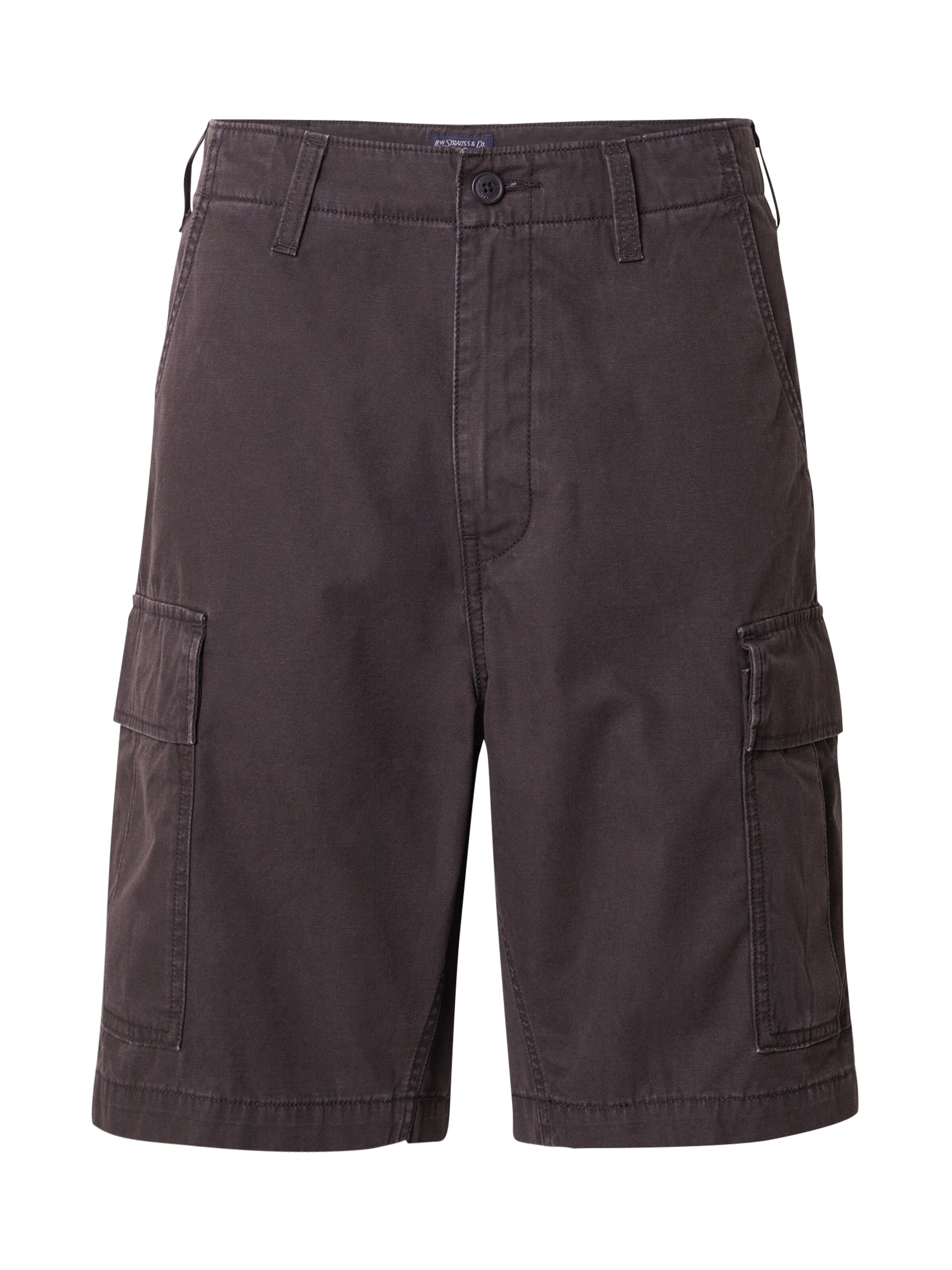ruda LEVI'S ® Laisvo stiliaus kelnės 'Carrier Cargo Shorts': priekis