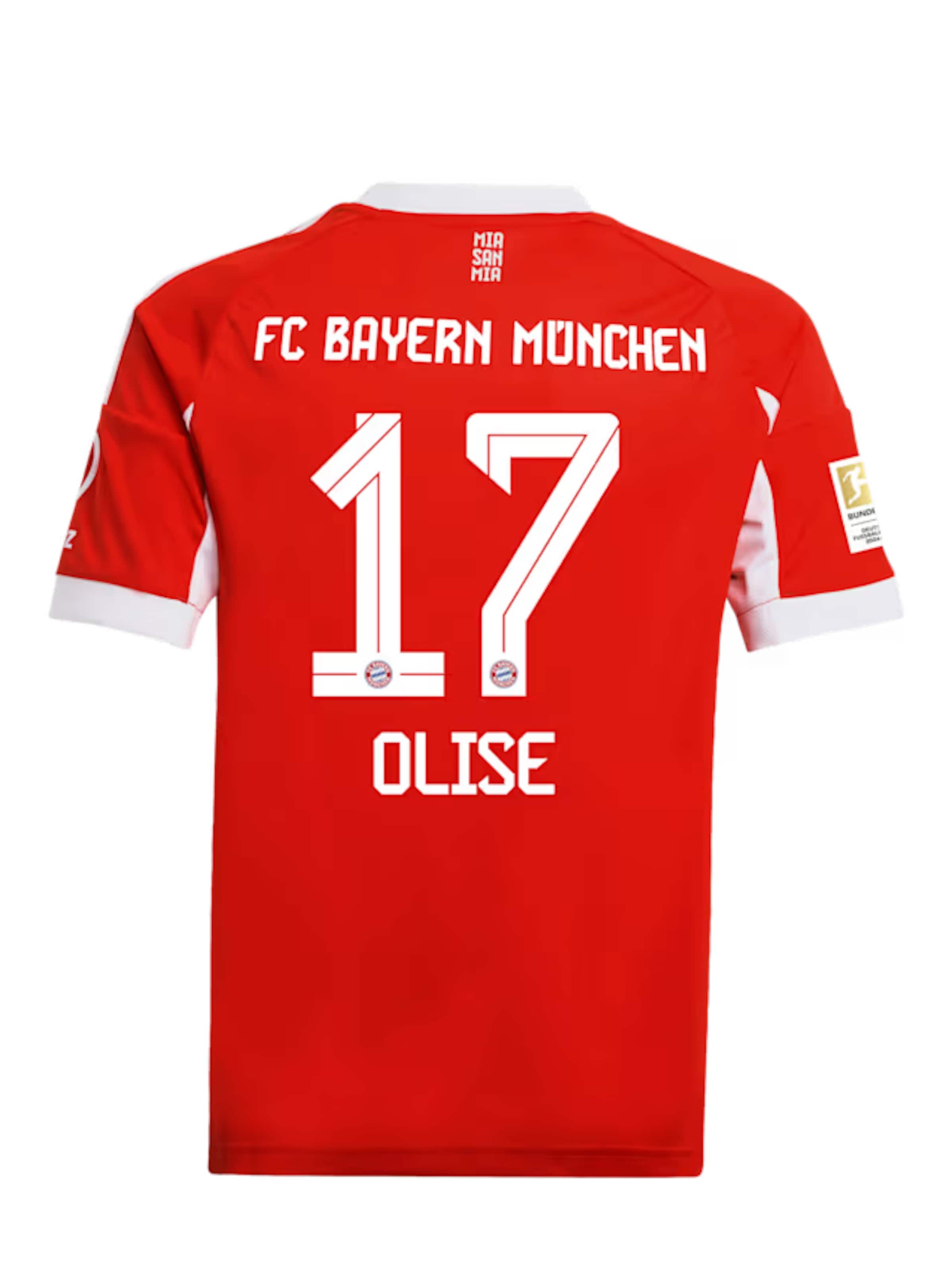 ADIDAS PERFORMANCE Shirt in Red: front