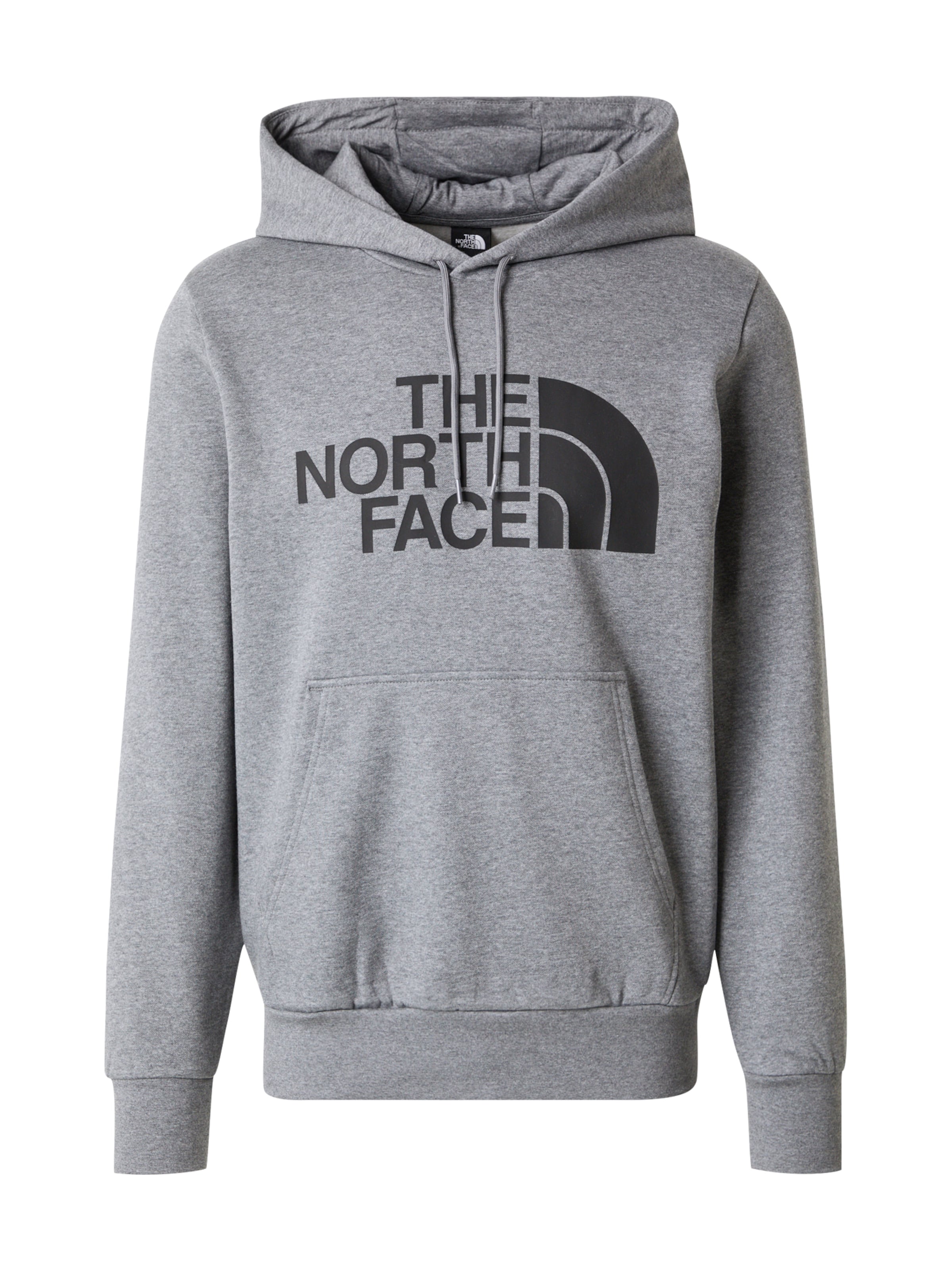 Felpa 'EASY' di THE NORTH FACE in grigio: frontale