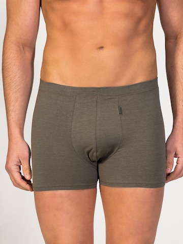 Boxers 'Apolo Soya Trunk' zd ZERO DEFECTS en vert : devant
