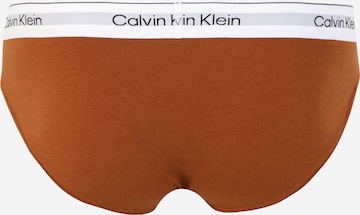 Calvin Klein Underwear Plus Panty in Brown