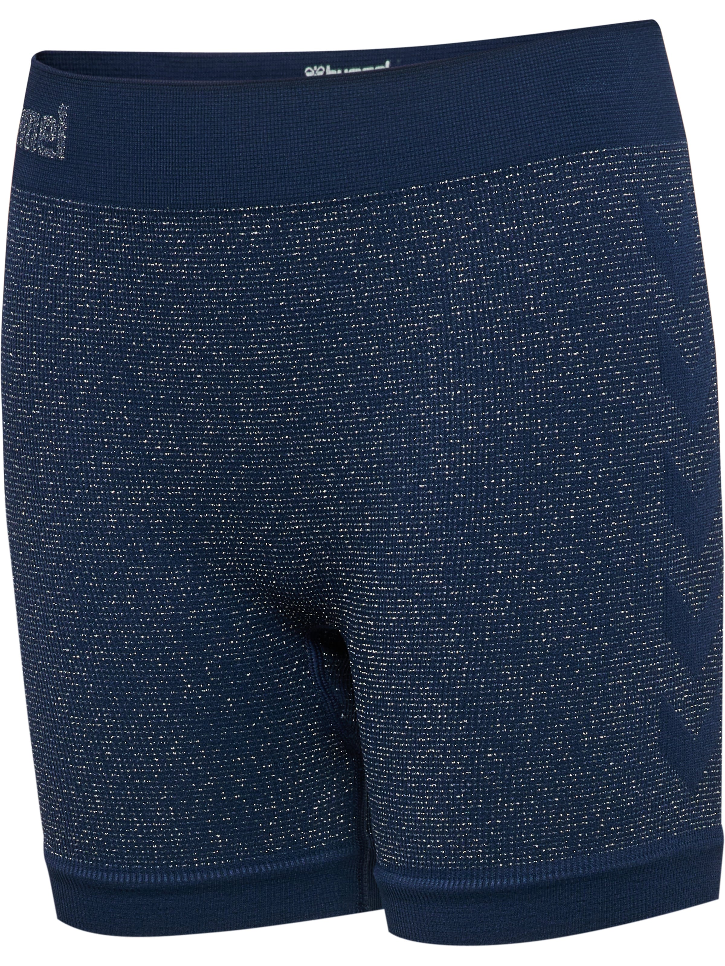Hummel Slimfit Sportbroek in Blauw