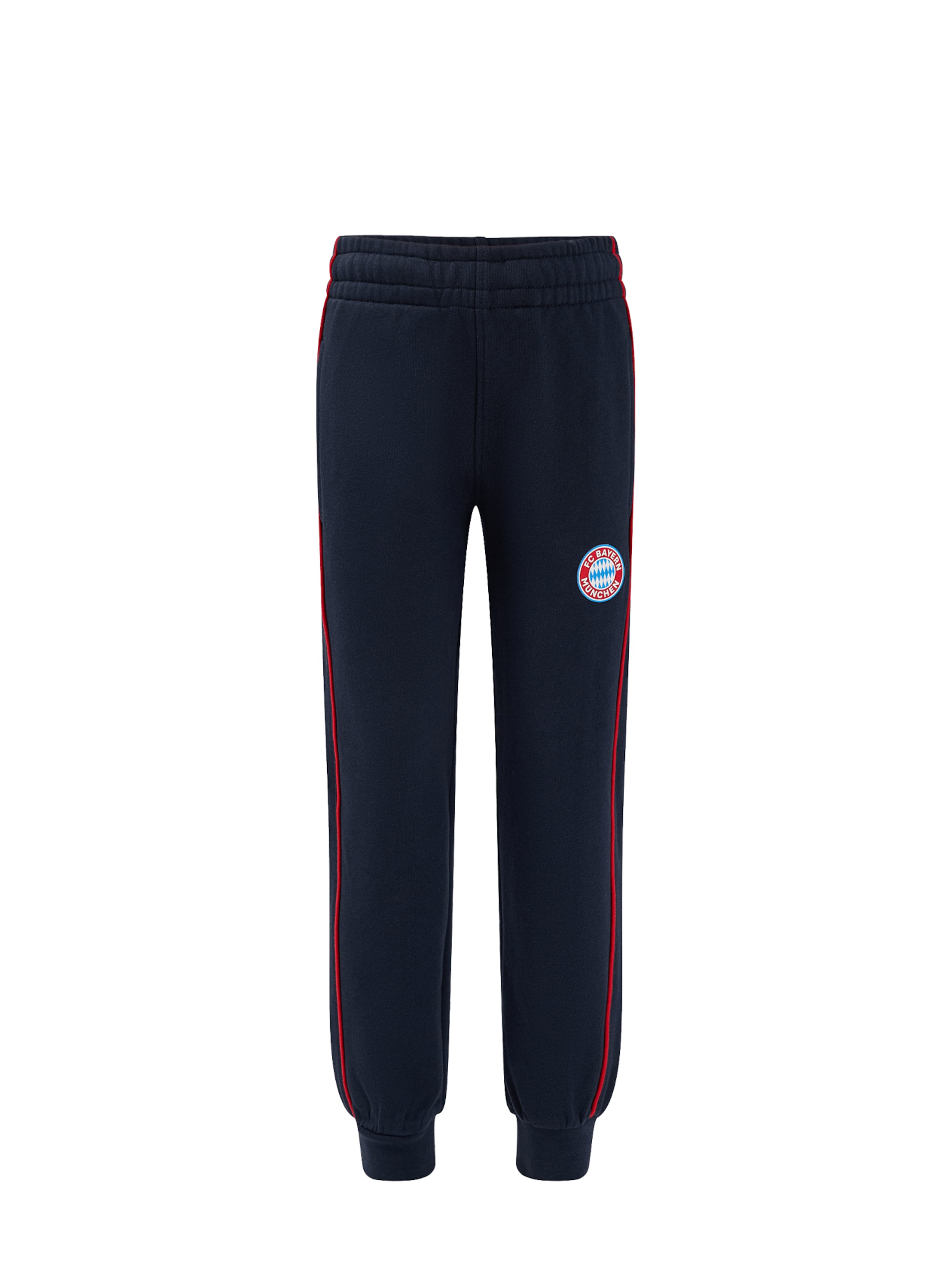FC BAYERN MÜNCHEN Regular Pants in Blue: front