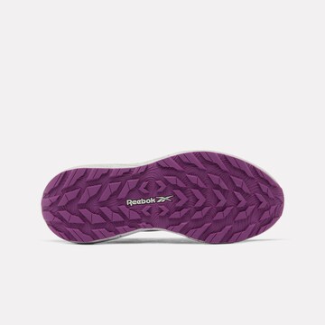 Reebok Sneaker in Grün
