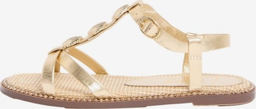 Sandales à lanières Lipsy en or : devant