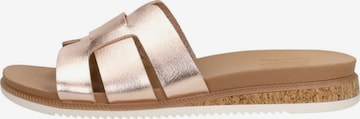 SKECHERS Mule in Beige: front