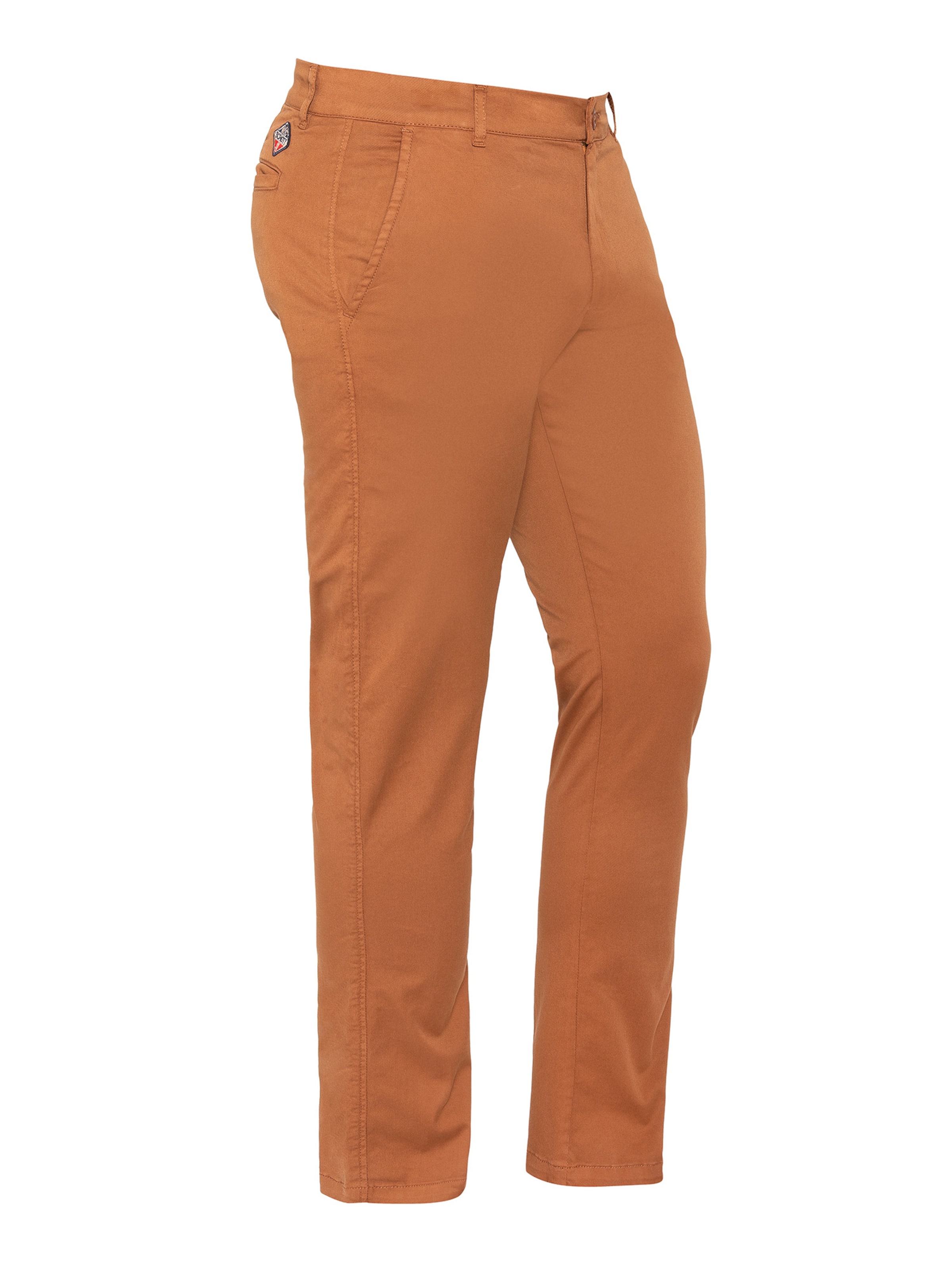 Regular Pantalon Schott NYC en marron