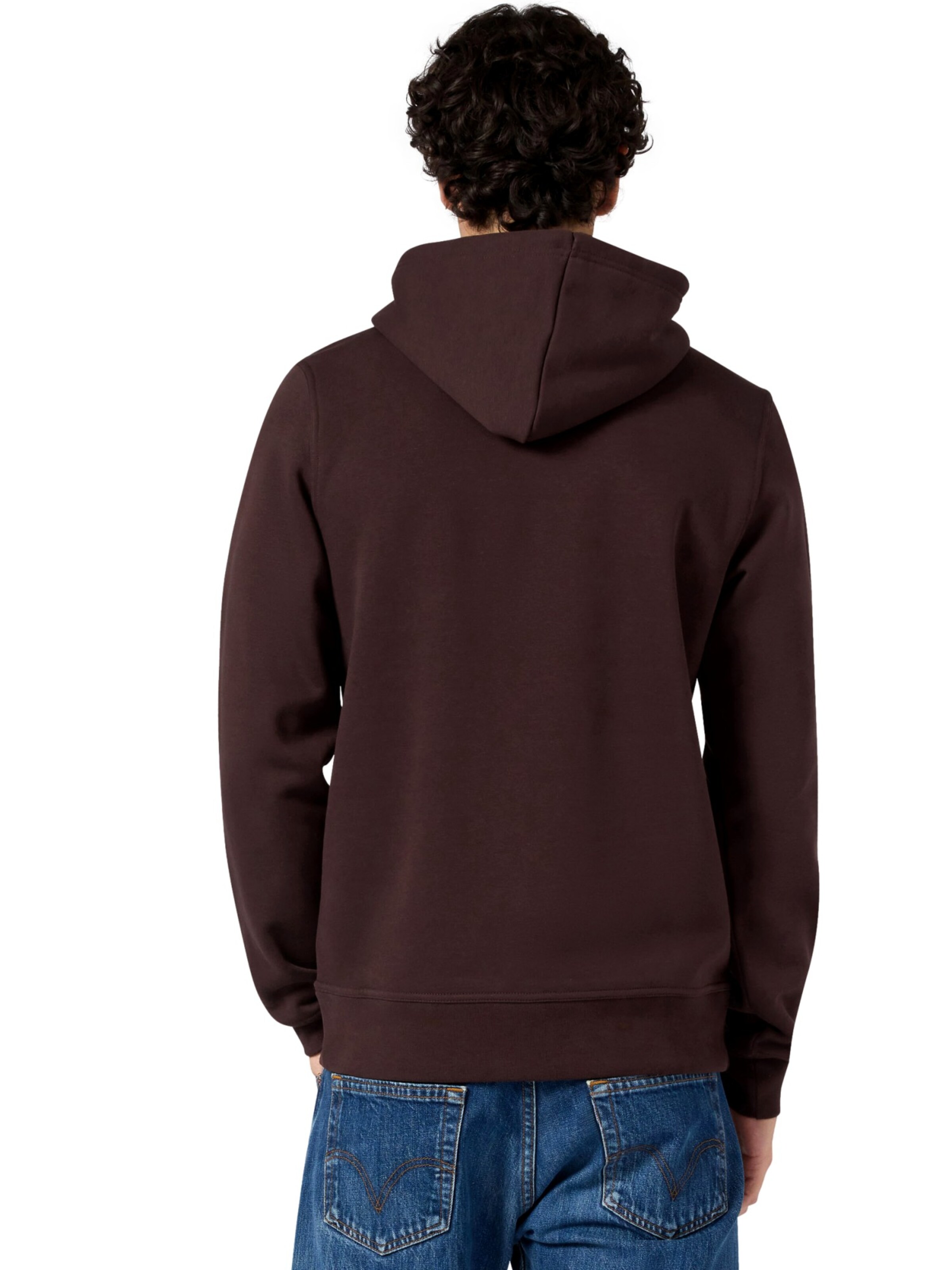 Champion Authentic Athletic Apparel Pullover i brun