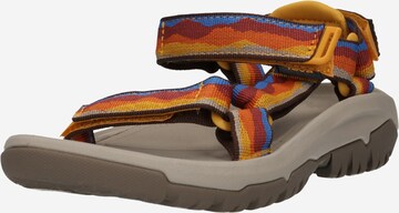 TEVA Hiking Sandals in Mixed colors: front