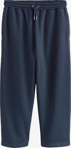 Next Loosefit Broek in Blauw: voorkant