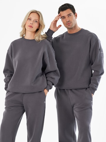 Organication Sweatshirt in Grau