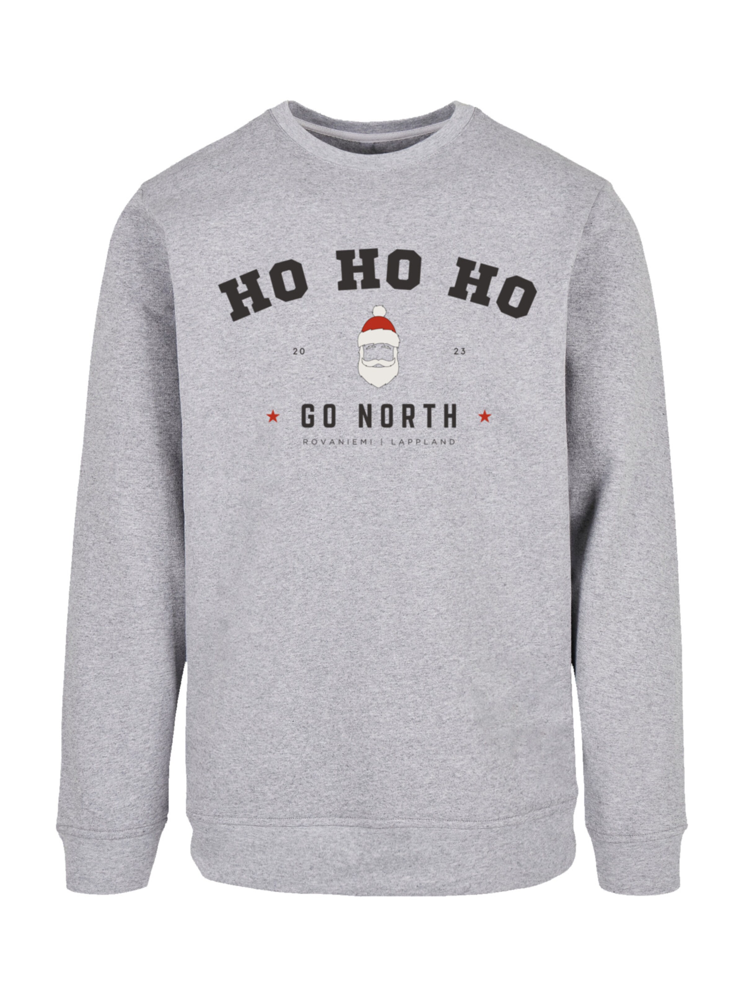 Sweat-shirt F4NT4STIC en gris : devant