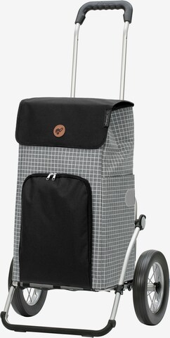 Trolley 'Hildy' di Andersen Shopper in grigio: frontale