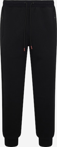 Regular Pantalon de sport ' Lomond Lite ' Born Living Yoga en noir : devant