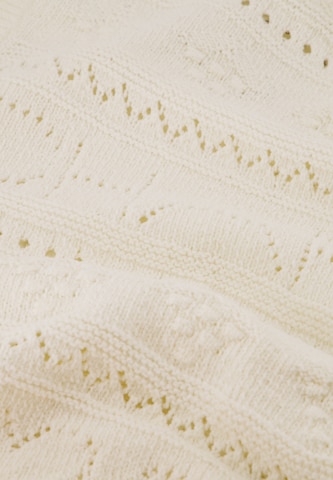 Fabienne Chapot Trui in Beige