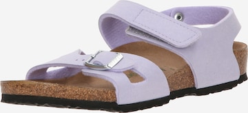 BIRKENSTOCK Sandals 'Colorado' in Purple: front