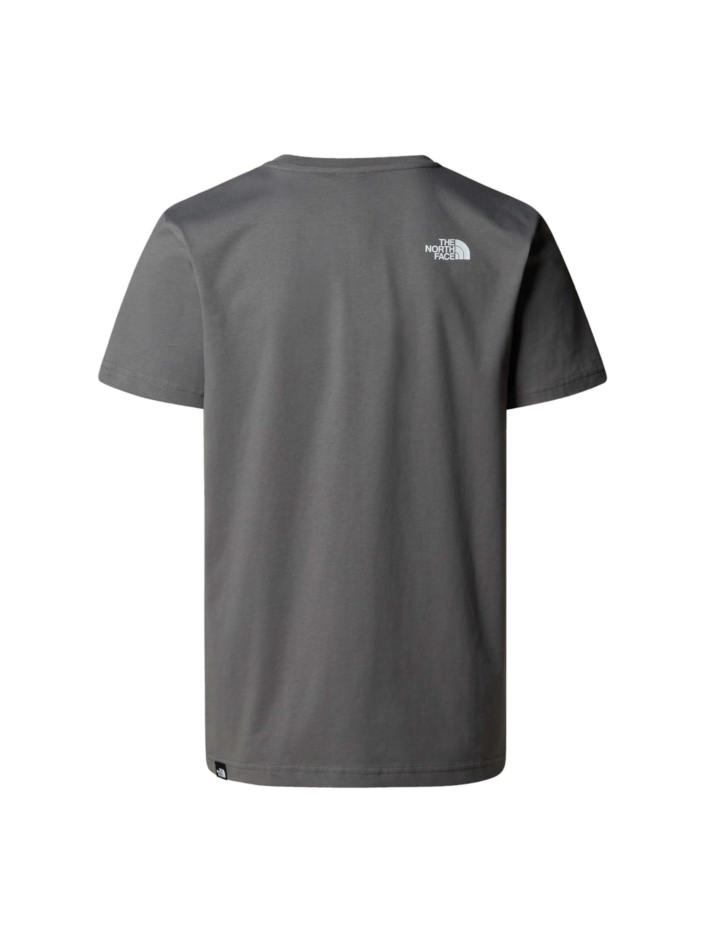 Maglietta 'Summerdale' di THE NORTH FACE in beige