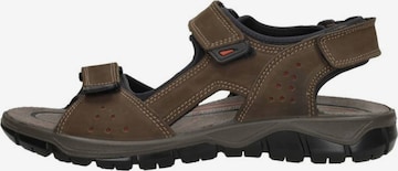 IMAC Sandalen 'Sandalen' in Bruin: voorkant