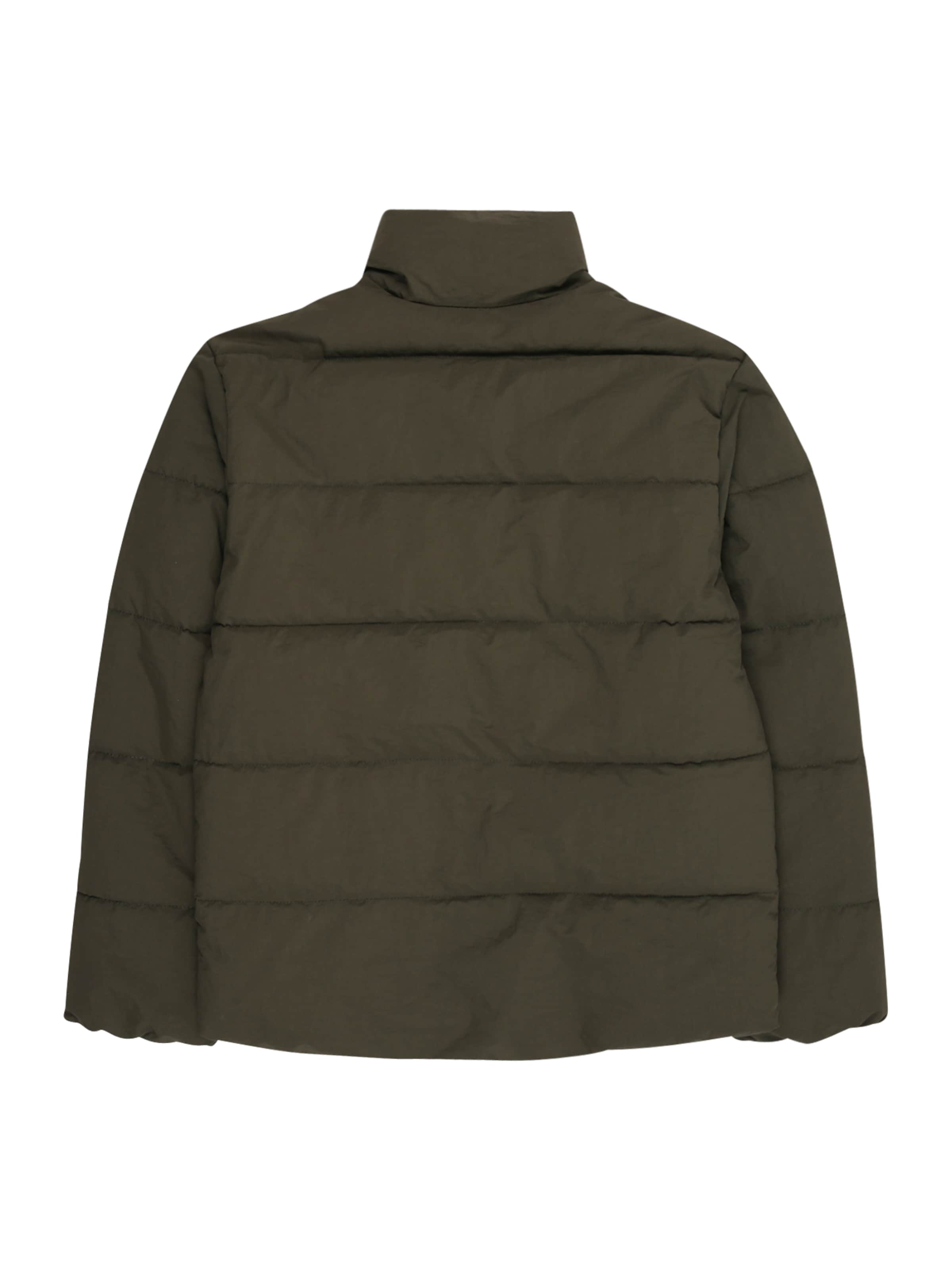 Only & Sons Junior Зимняя куртка 'OSJGlobal' в Зеленый