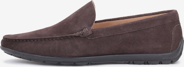 Kazar Moccasin in Brown: front