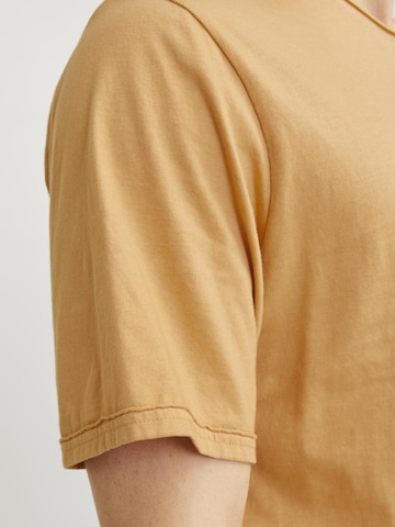 JACK & JONES Bluser & t-shirts 'BLURYDES' i brun
