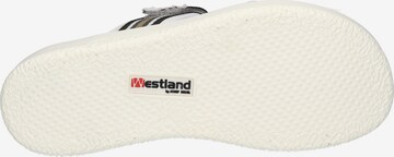 Westland Sandale 'Albi 04' in Weiß