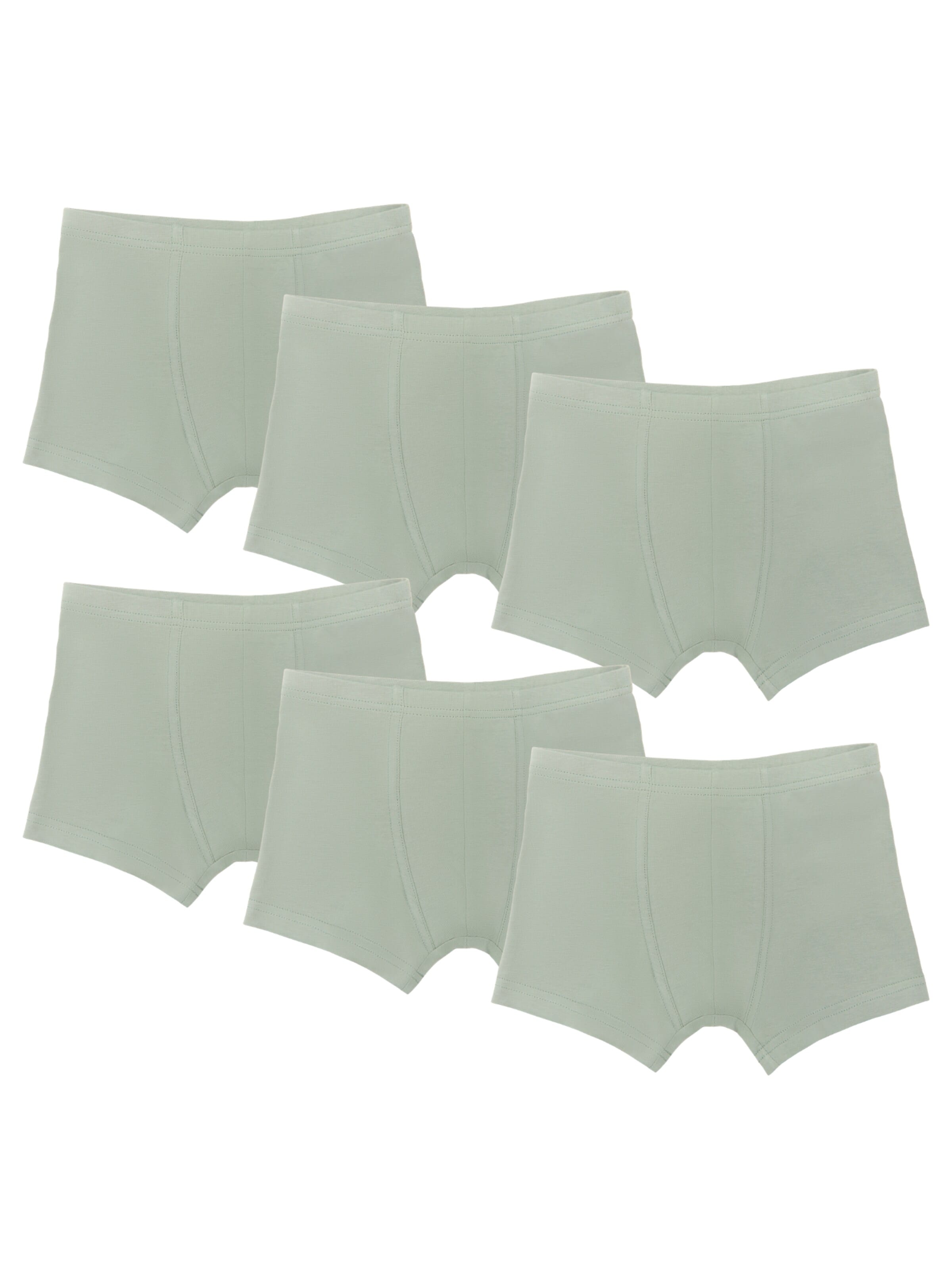 Albero Natur Underpants in Green: front