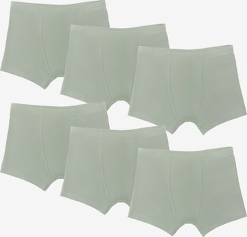 Albero Natur Underpants in Green: front