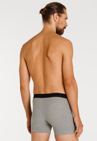 camano Boxer shorts in Grey