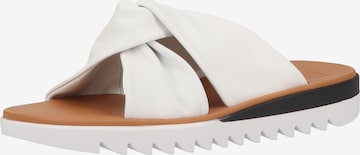 Paul Green Mules in White: front